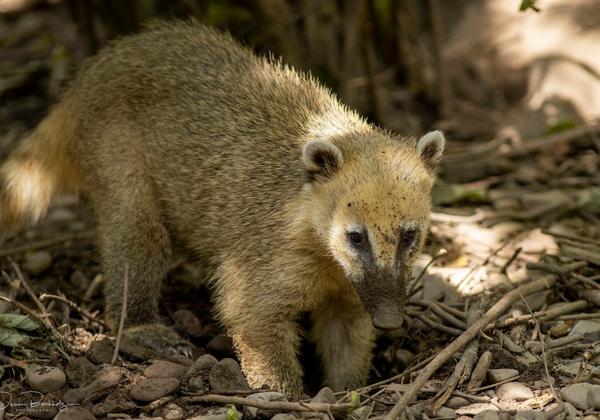 Tierpark-Bad-Pyrmont