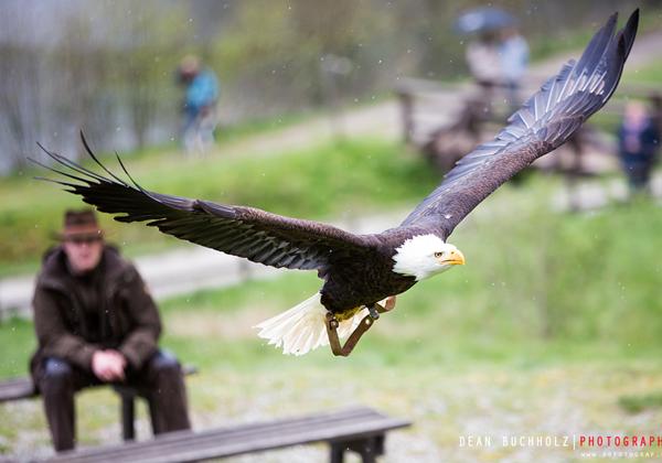 Tierpark-Sababurg