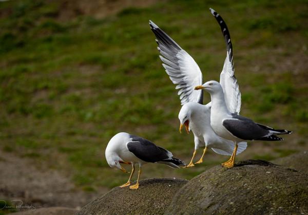 Zoo-Emmen_29.03.2024