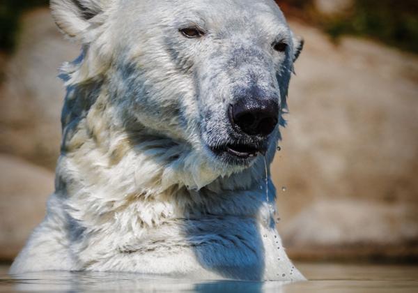 Zoo-Emmen