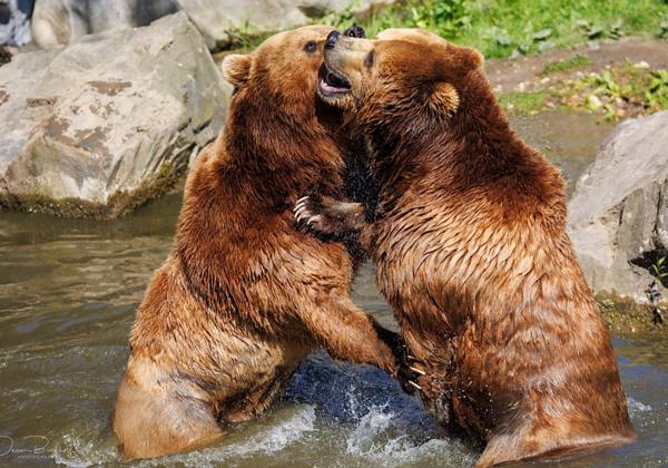 Zoo-Gelsenkirchen